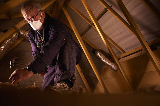 Best Geographic-Specific Insulation Services in Southside, AR
